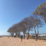 Pulau Lae-Lae 5